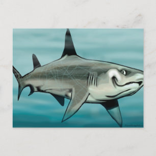Shark Vykort