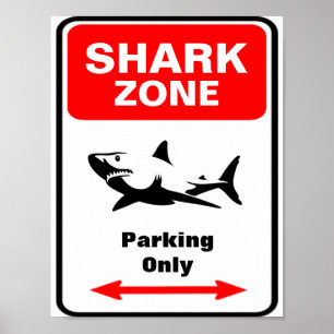 SHARK Zon parkeringstecken Poster