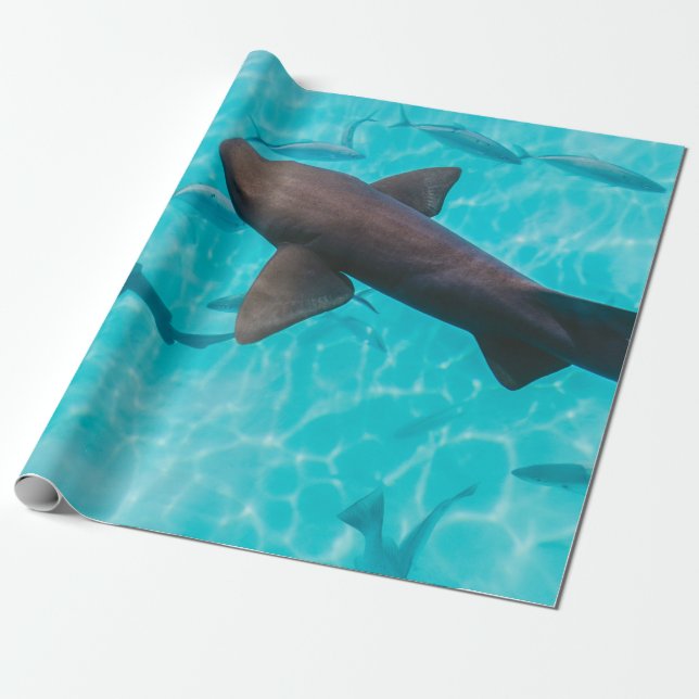 SHARKER PÅ KROPPEN VATTEN PRESENTPAPPER (Utrullad)