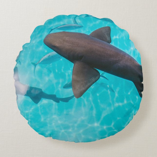 SHARKER PÅ KROPPEN VATTEN RUND KUDDE (Framsidan)