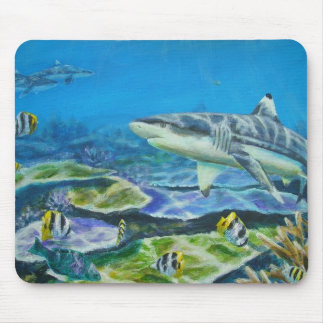 sharkfiji musmatta (Framsidan)