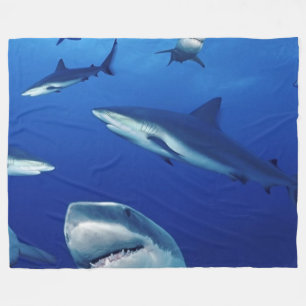 SHARKS ALLVART FLEECEFILT