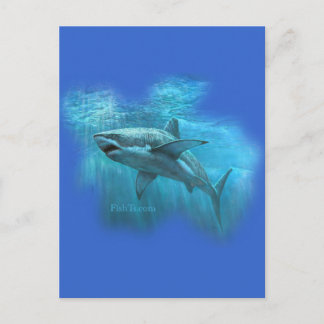 Sharks Collection by FishTs.com Vykort