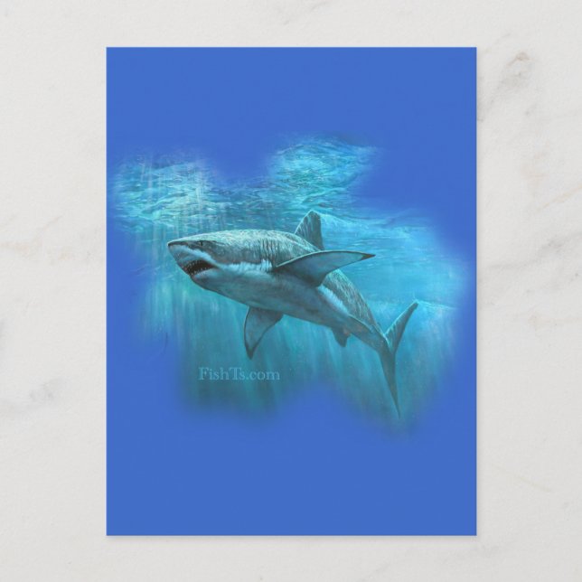 Sharks Collection by FishTs.com Vykort (Framsida)
