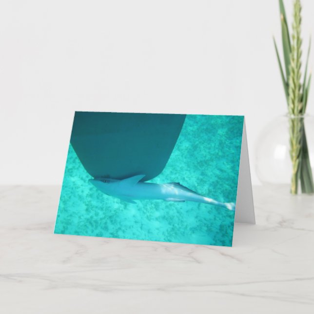 Sharksucker Remora Helgkort (Framsida)