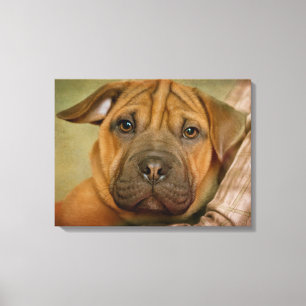 Sharpei-Beagle Puppy Canvastryck
