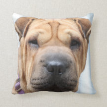 Sharpei Dekorativ kudde