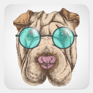 Sharpei i sunglass fyrkantigt klistermärke