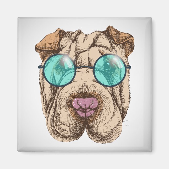 Sharpei in sunglass magnet (Framsidan)