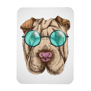 Sharpei in sunglass magnet