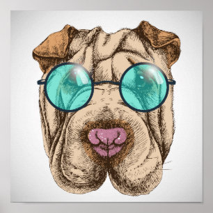 Sharpei in sunglass poster