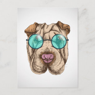 Sharpei in sunglass vykort