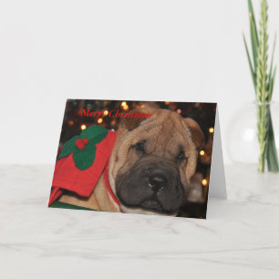 Sharpei julkort helgkort