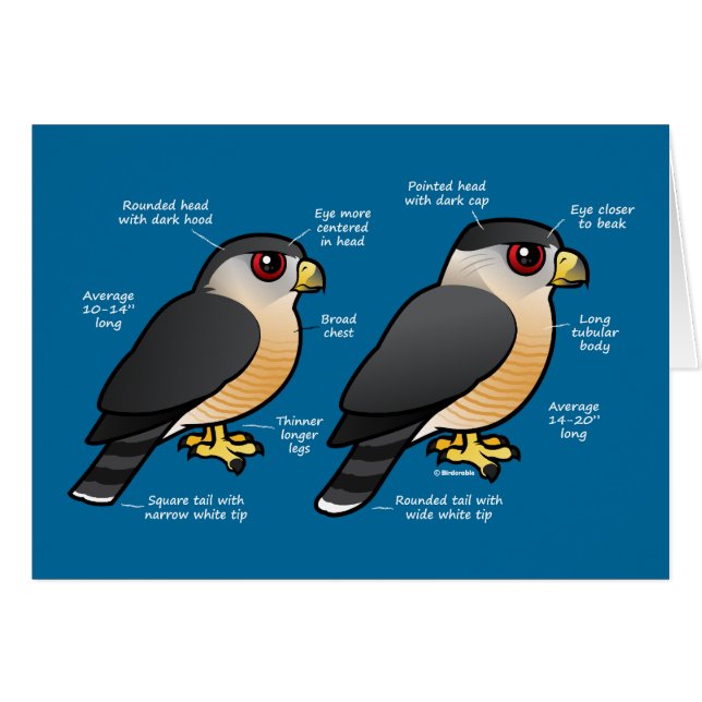 Sharpie för Coop v Hälsningskort (Framsidan Horizontal)