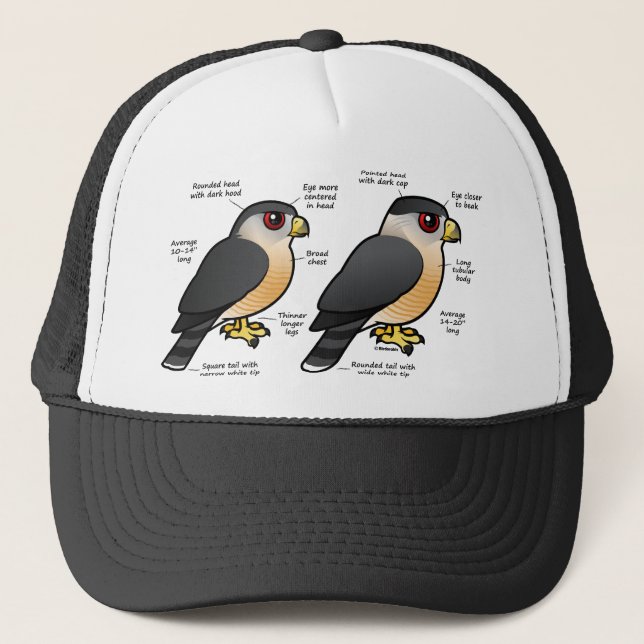 Sharpie för Coop v Truckerkeps (Framsida)