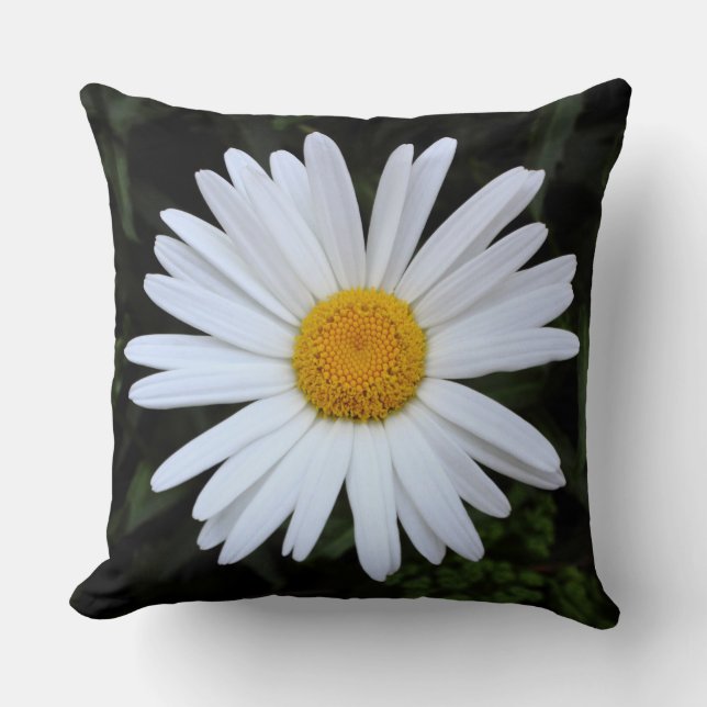 Shasta Daisy 04 Kudde (Framsida)