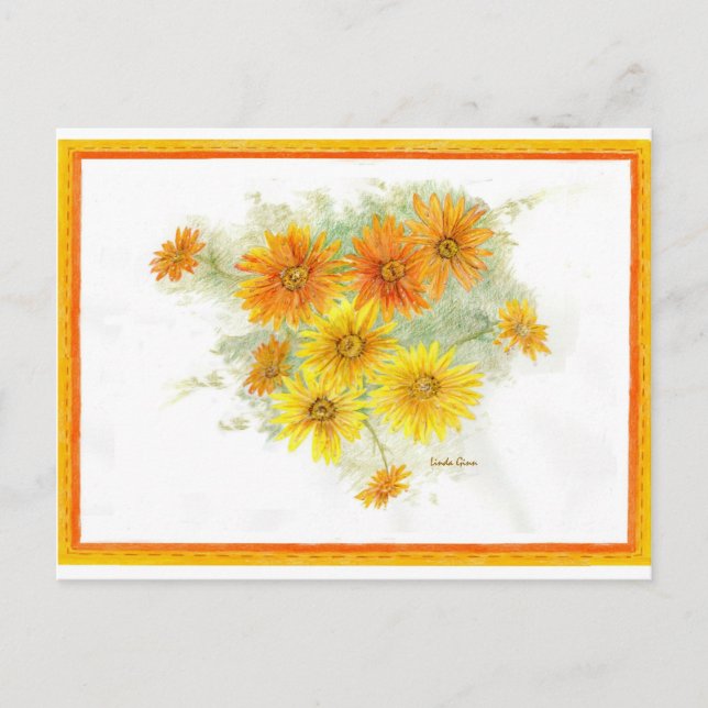 Shasta Daisy efter regnet Vykort (Framsida)