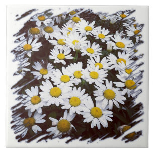 Shasta daisy fotograferar kakelplatta