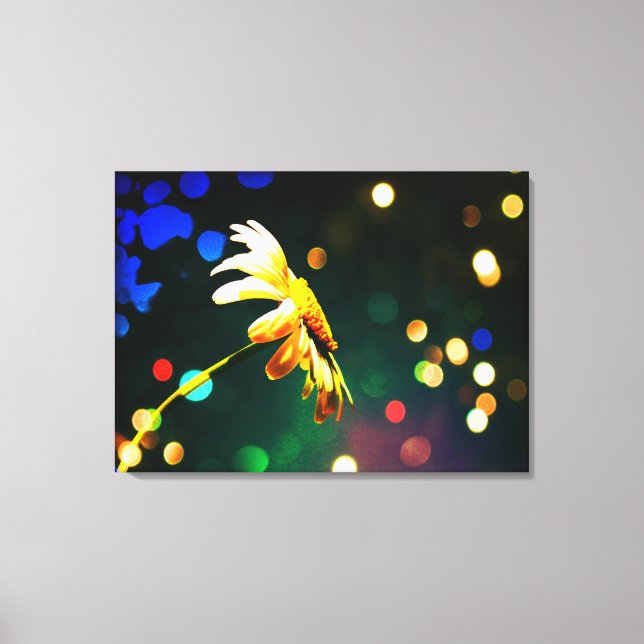 Shasta Daisy Gnistra Wrapped Canvas (Framsida)