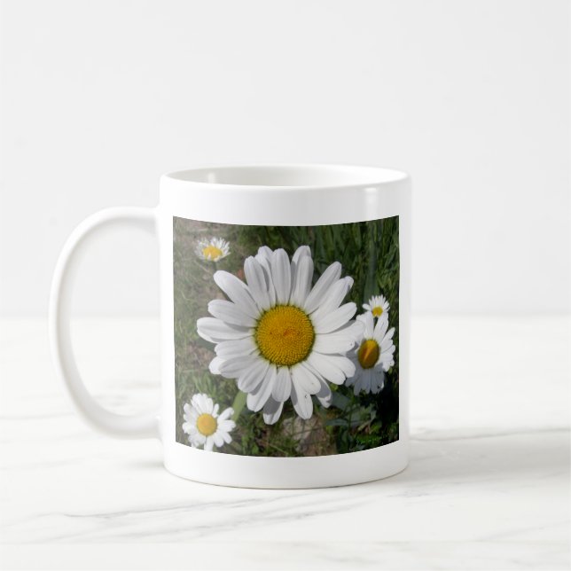 Shasta-Daisy (högst Chrysanthemum) Kaffemugg (Vänster)