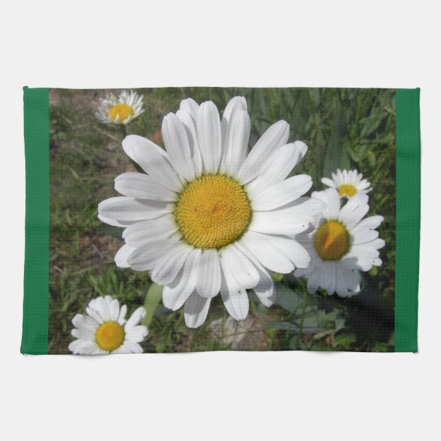 Shasta-Daisy (högst Chrysanthemum) Kökshandduk (Horisontell)