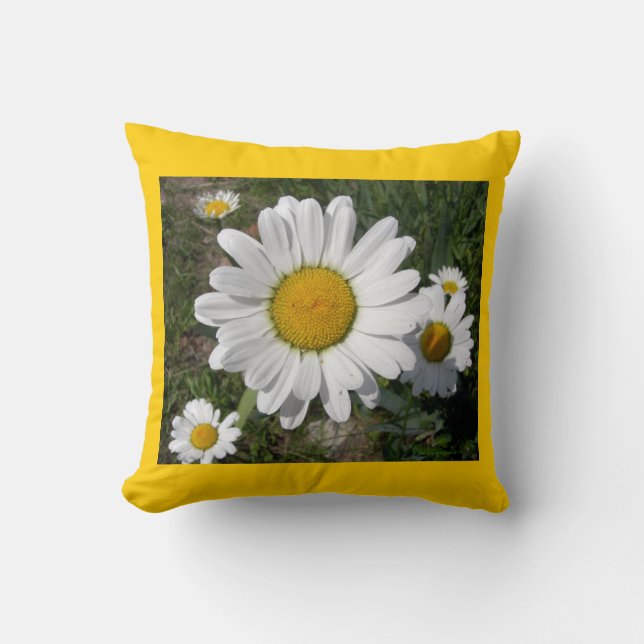 Shasta-Daisy (högst Chrysanthemum) Kudde (Framsida)