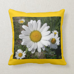 Shasta-Daisy (högst Chrysanthemum) Kudde