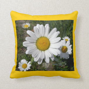 Shasta-Daisy (högst Chrysanthemum) Kudde