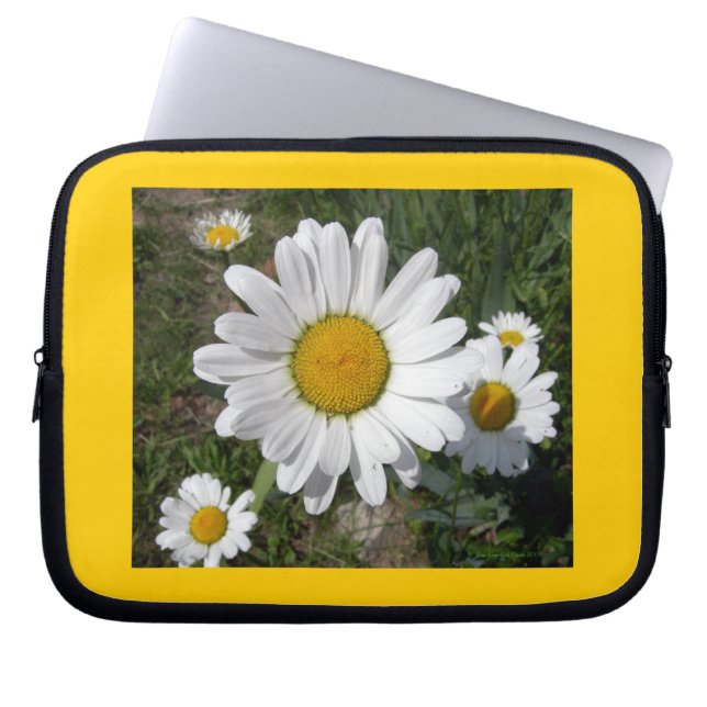 Shasta-Daisy (högst Chrysanthemum) Laptop Sleeve (Framsidan)