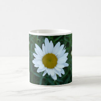 Shasta daisy kaffemugg