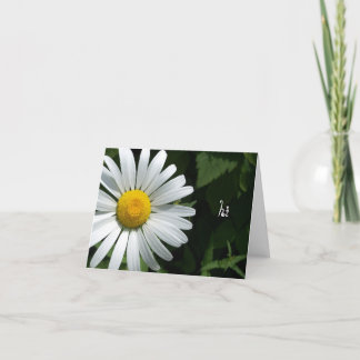 Shasta Daisy Note-kort Kort