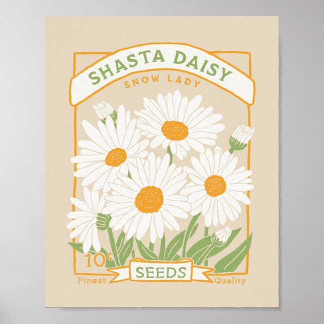 Shasta Daisy Poster (Framsidan)