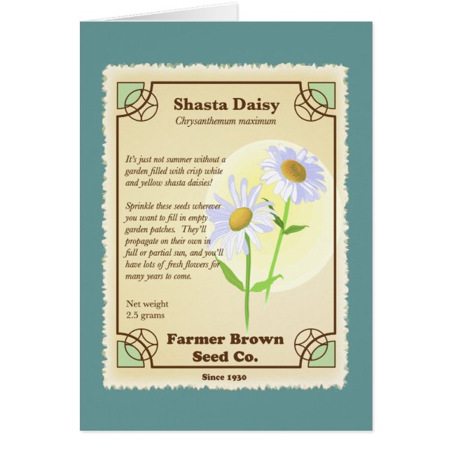 Shasta Daisy Seed Packet Hälsningskort (Framsidan)