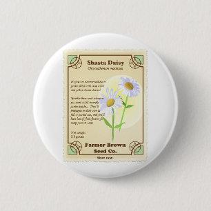 Shasta Daisy Seed Packet Knapp