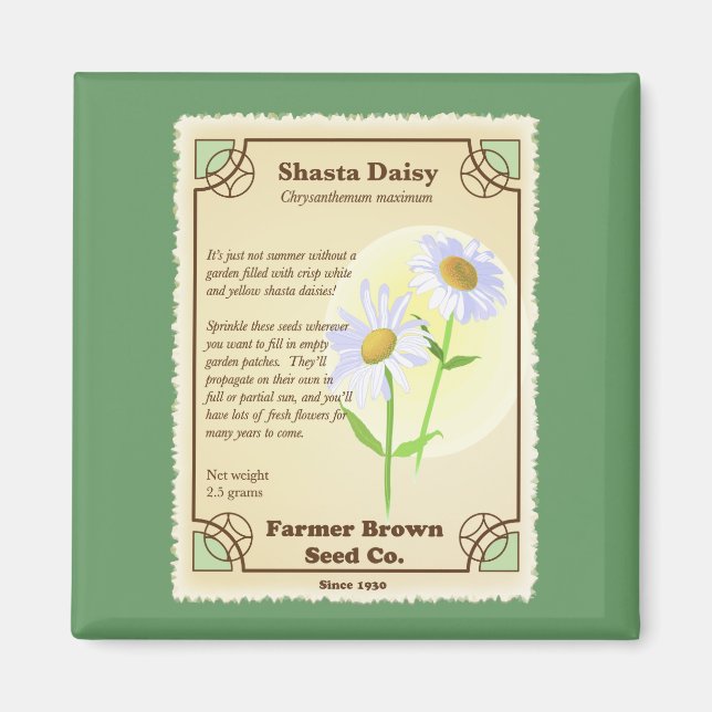 Shasta Daisy Seed Packet Magnet (Framsidan)