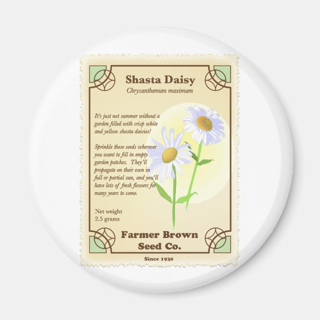 Shasta Daisy Seed Packet Magnet (Framsidan)