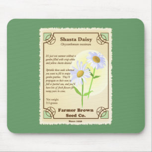 Shasta Daisy Seed Packet Musmatta