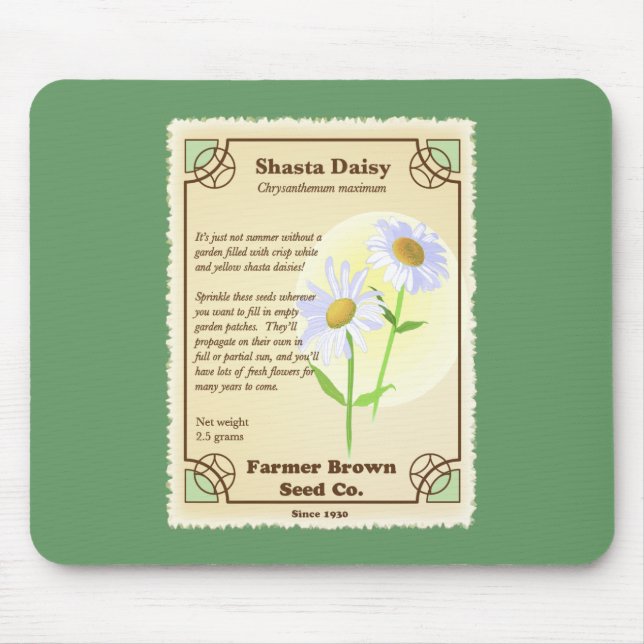 Shasta Daisy Seed Packet Musmatta (Framsidan)