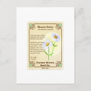 Shasta Daisy Seed Packet Vykort