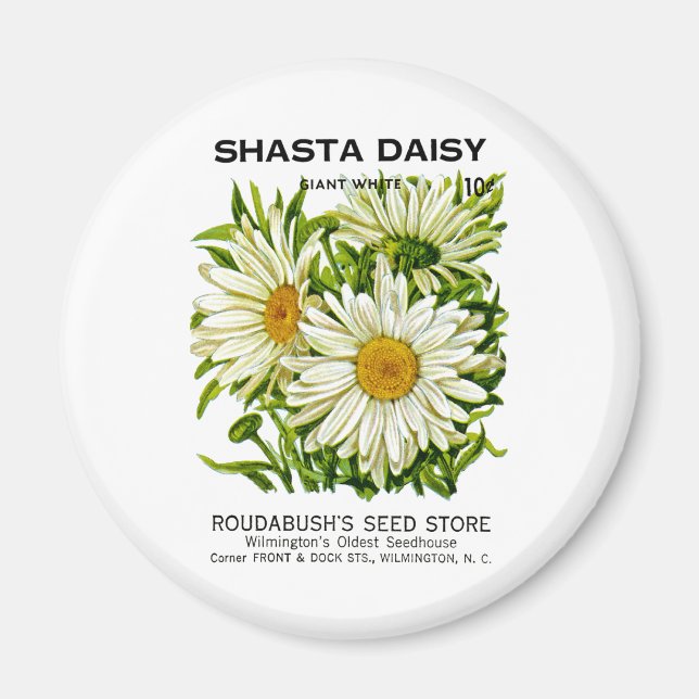 Shasta Daisy Vintage Seed Packet Magnet (Framsidan)