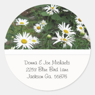 Shasta Daisys Adress Stickers Runt Klistermärke