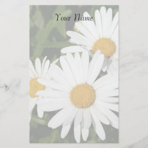 Shasta Daisys Stationary Brevpapper