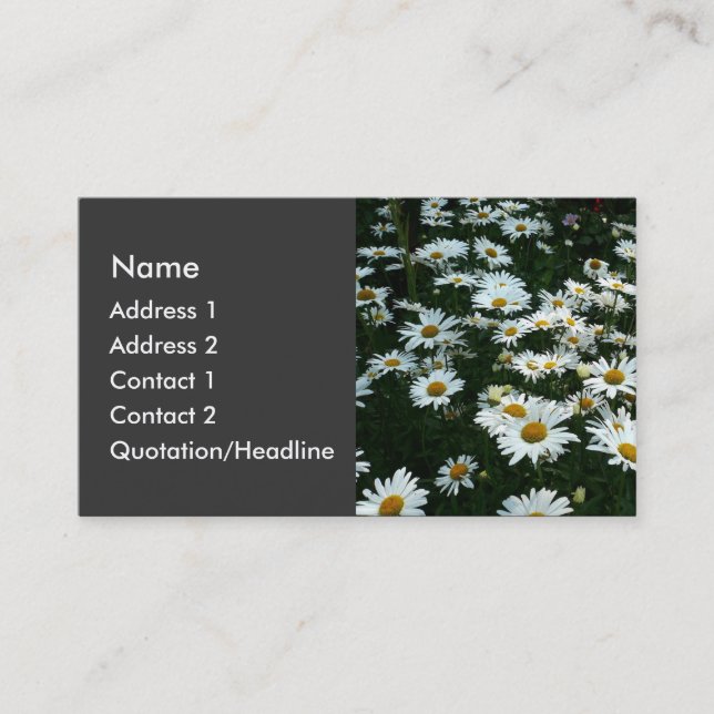 Shasta Daisys Visitkort (Framsida)