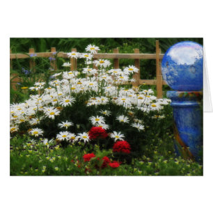 Shasta Garden - Daisy Hälsningskort