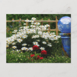 Shasta Garden Vykort