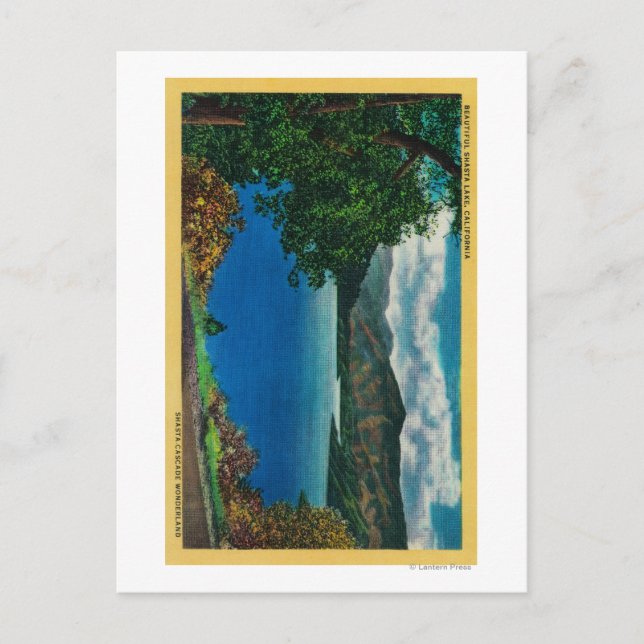 Shasta Sjö ViewShasta, CA Vykort (Framsida)