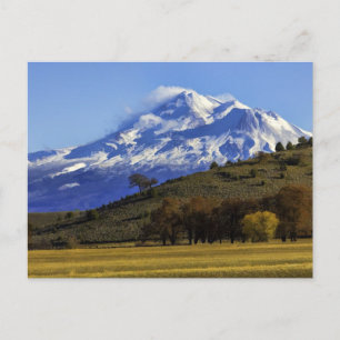 SHASTA VIEW VYKORT