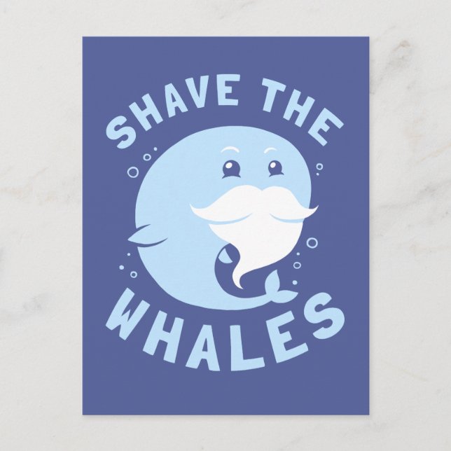 Shave the Whales Vykort (Framsida)