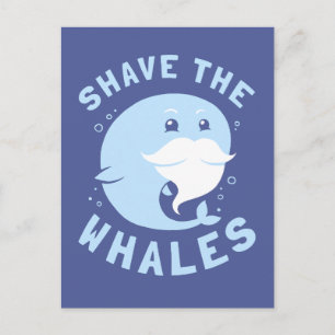 Shave the Whales Vykort