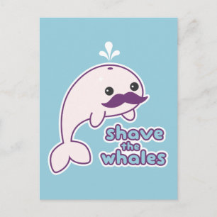Shave the Whales Vykort